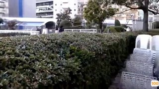 中文字幕日韩精品一区二区,成人视频高清免费观看